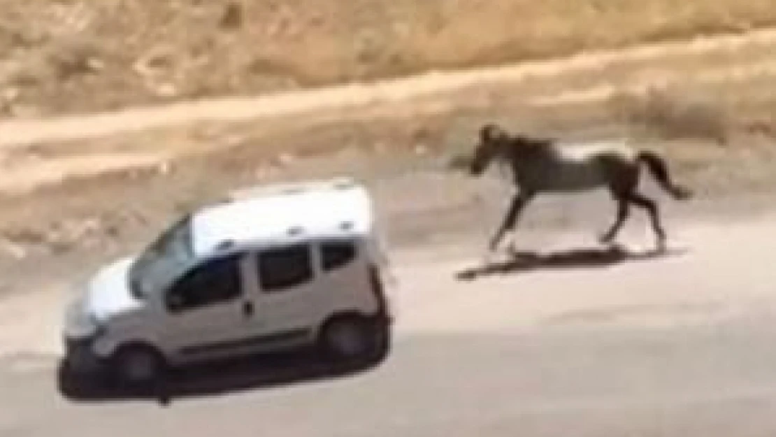 Ata Eziyet Eden Şahsa Ceza Verildi!