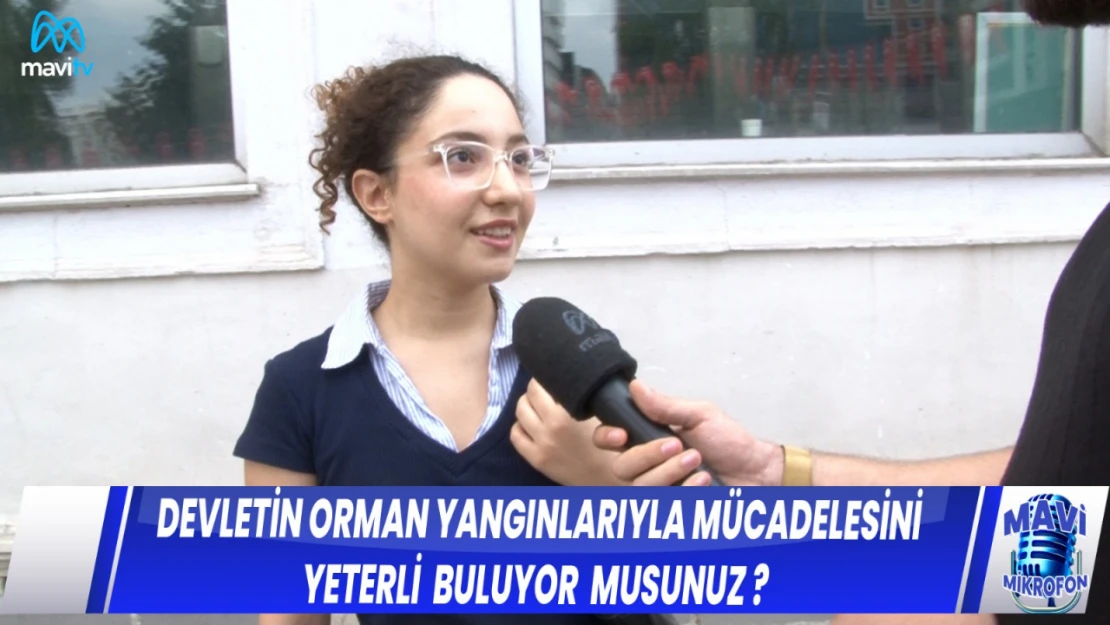 DEVLETİN ORMAN YANGINLARIYLA MÜCADELESİNİ YETERLİ BULUYOR MUSUNUZ ?