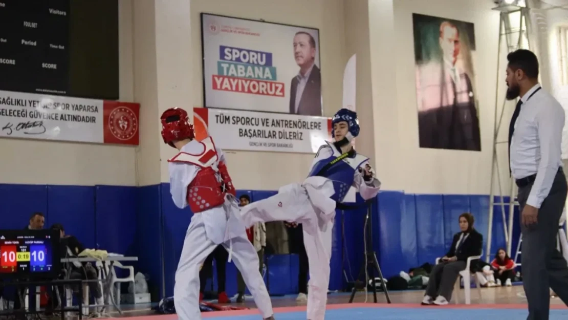 Elazığ'da Gençler Taekwondo Müsabakaları Tamamlandı