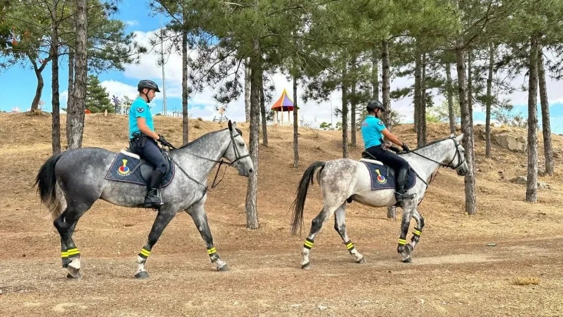 Elazığ'da Jandarma Atlı Birliği Çevre Güvenliği İçin Devriye Geziyor