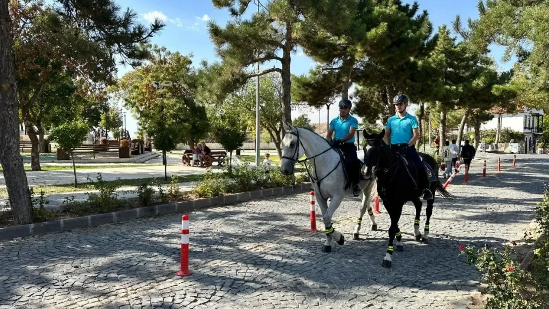 Elazığ'da Jandarma Atlı Birliği'nden Önleyici Devriye