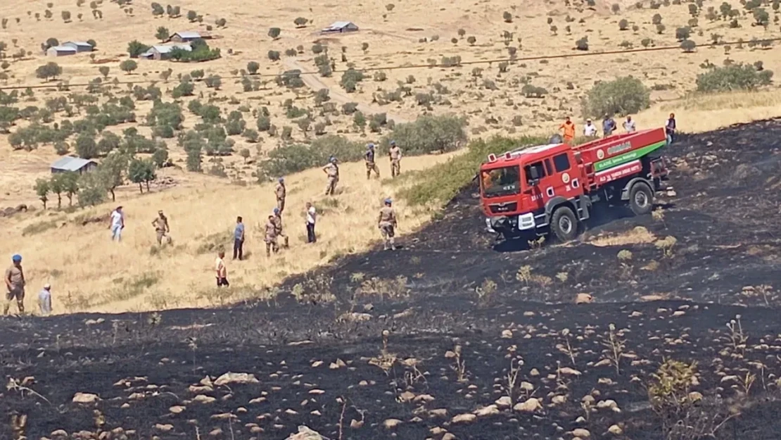 Elazığ'da Orman Yangını