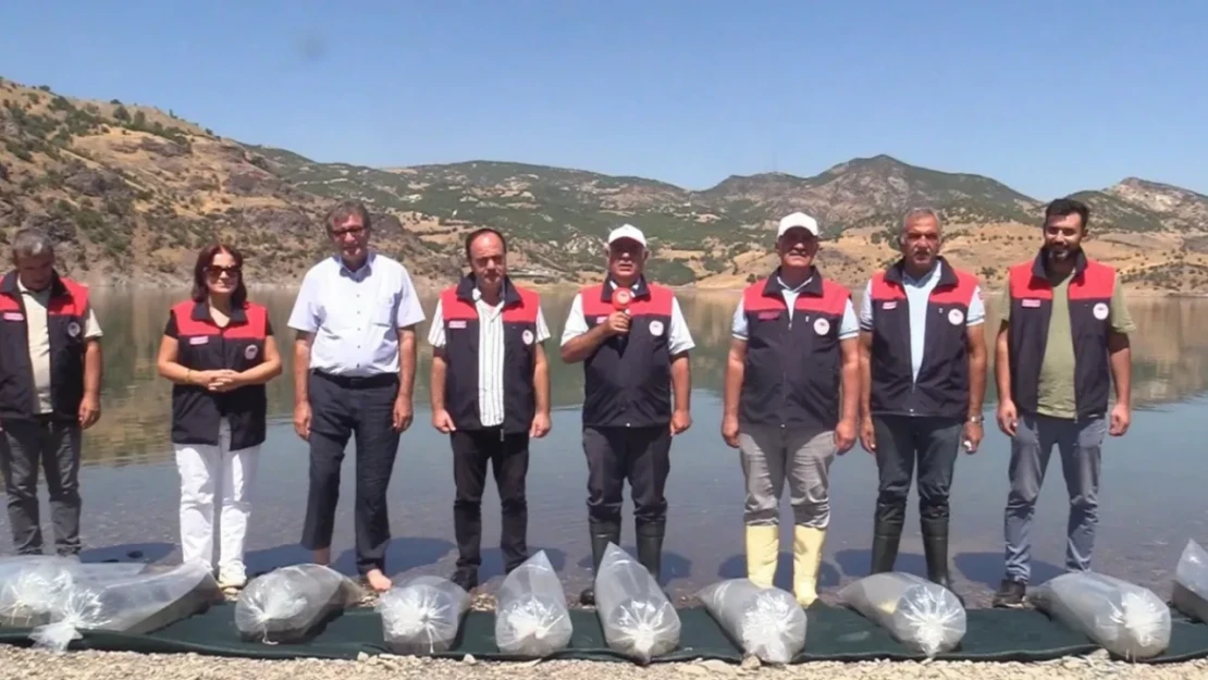 Elazığ'da Su Kaynaklarını Balıklandırma Çalışmaları Sürüyor!