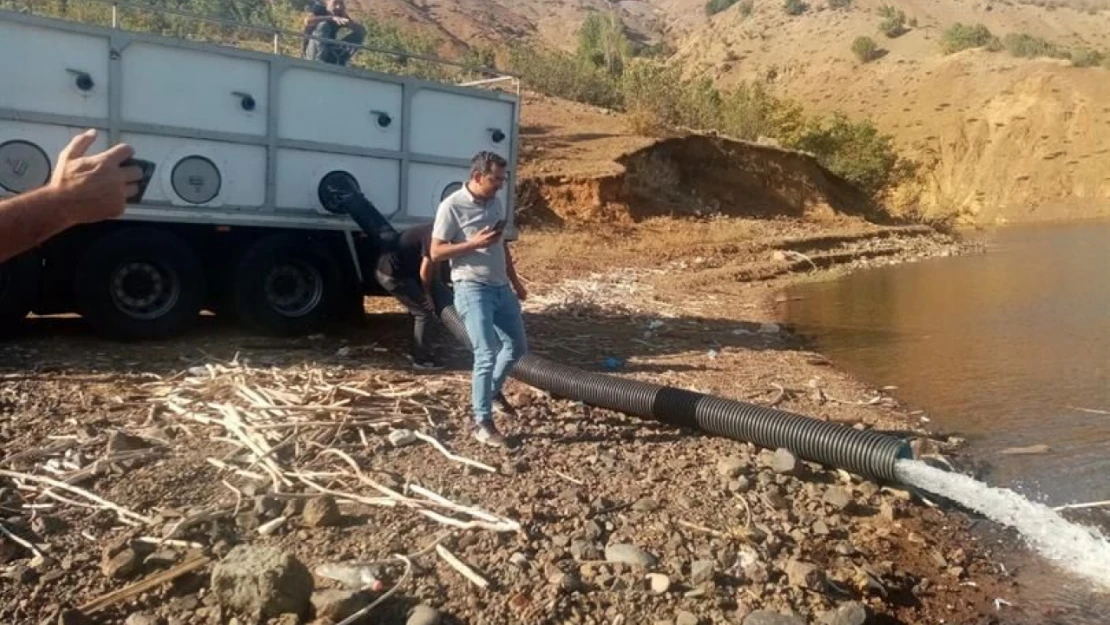 Elazığ'dan Bingöl'e Balıklandırma!