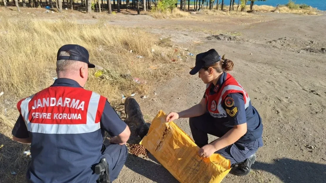 Elazığ Hazar Gölü'nde Sokak Hayvanlarına Destek