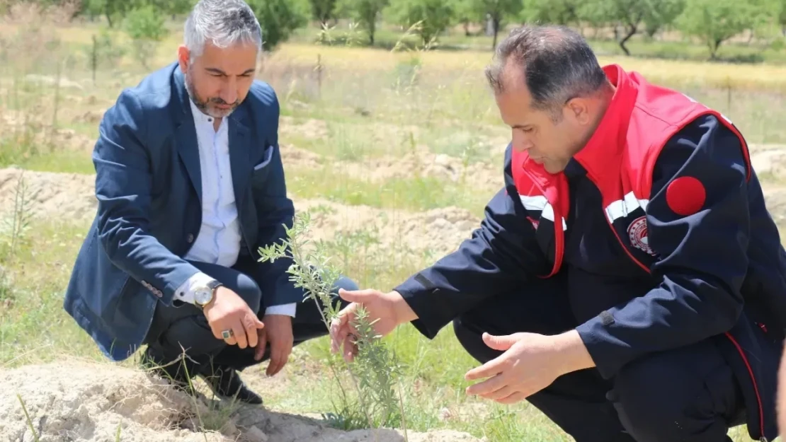 Elazığ İl Tarım müdürlüğün' den Başarılı Çalışma