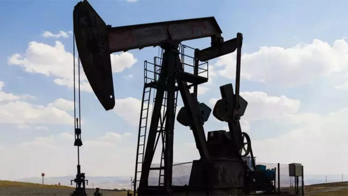 Elazığ'ın Başına Talih Kuşu Kondu