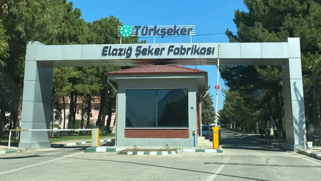 Elazığ Şeker Fabrikası'ndan Rekor Üretim Hedefi