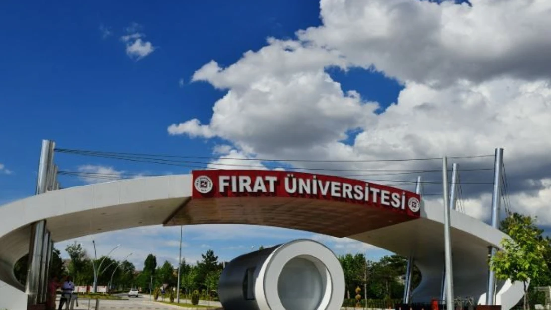 Fırat Üniversitesi, Dünya Üniversiteleri Arasında