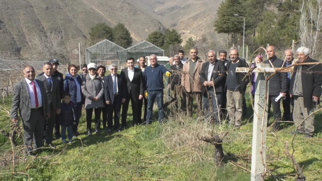 Fırat Üniversitesi Keban MYO Tarafından Çiftçilere Bağ Budama Eğitimi Verildi