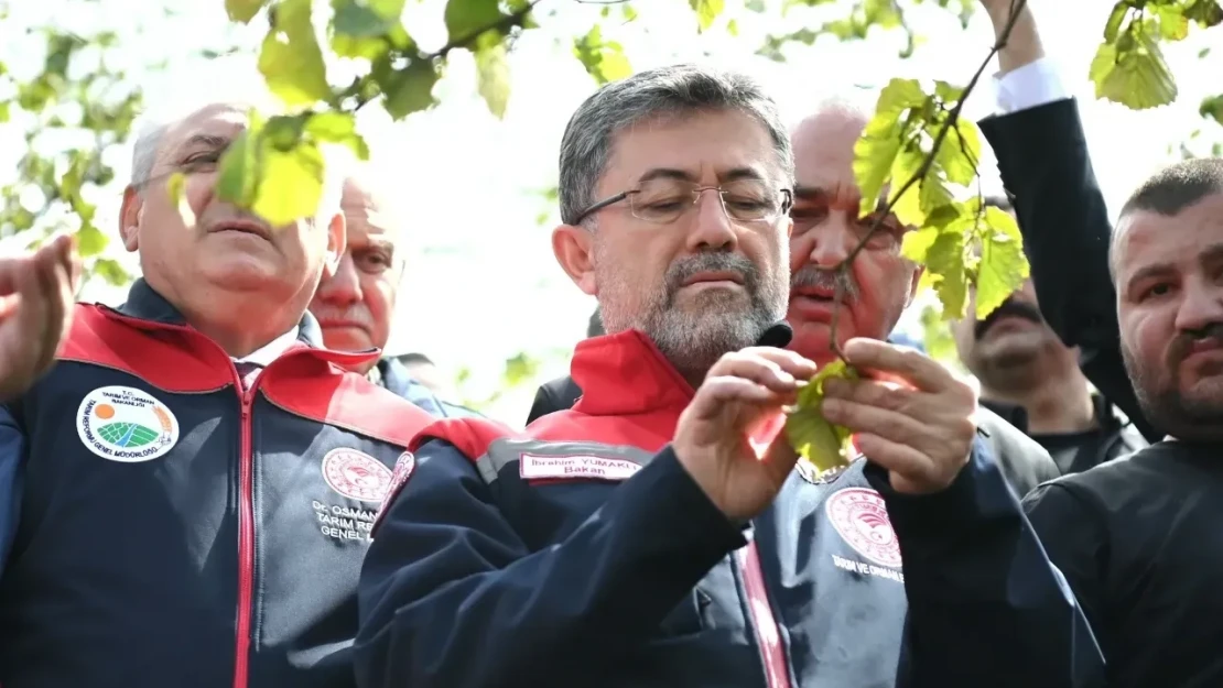 Gıda Arz Güvenliğimiz Tehdit Altında Değil