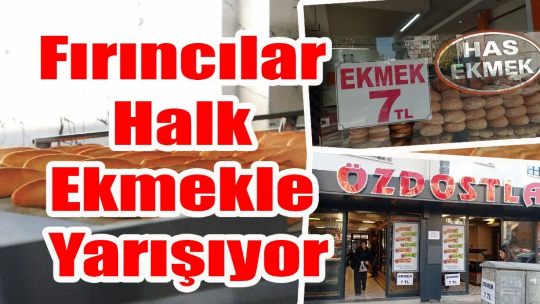 Halk Ekmek ve Fırıncıların Rekabeti Vatandaşa Yaradı