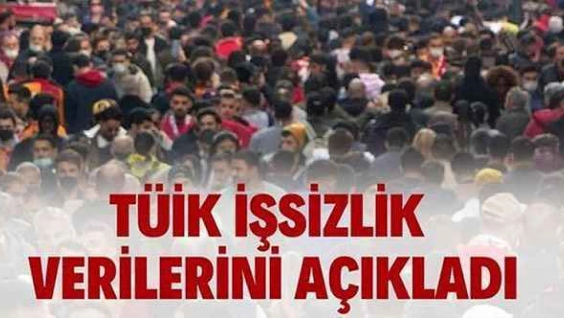 İşsizlik Ocakta Arttı