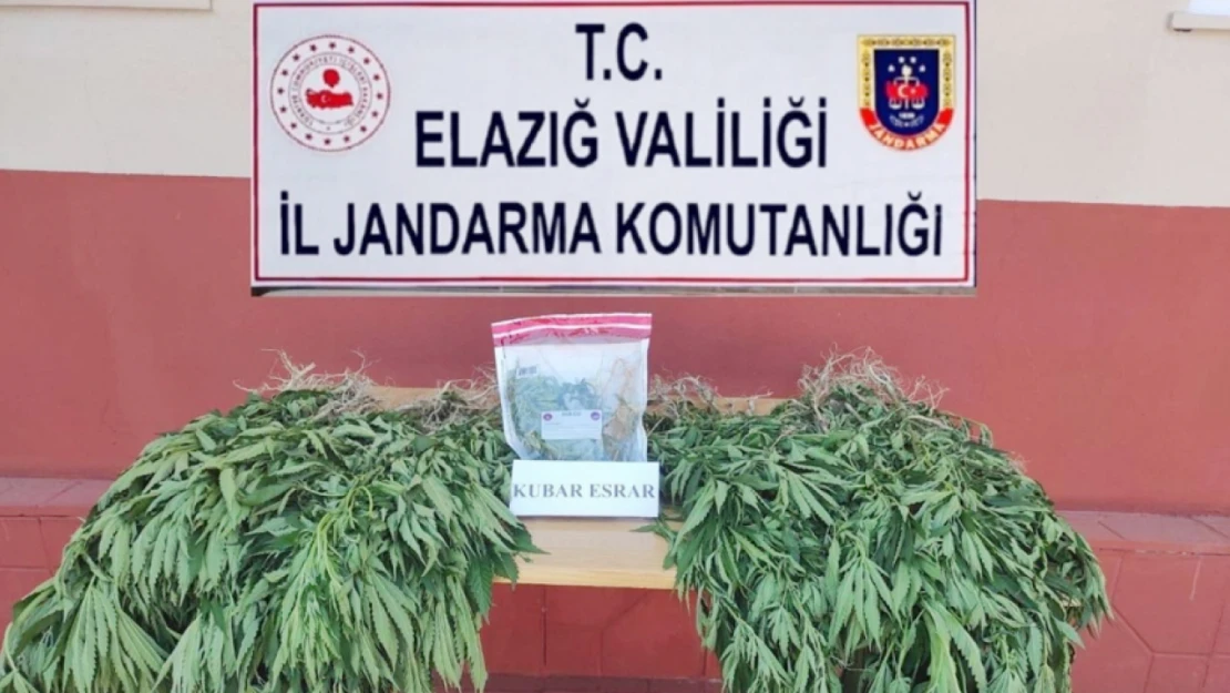 Jandarma Ekipleri Yine Yakaladı!