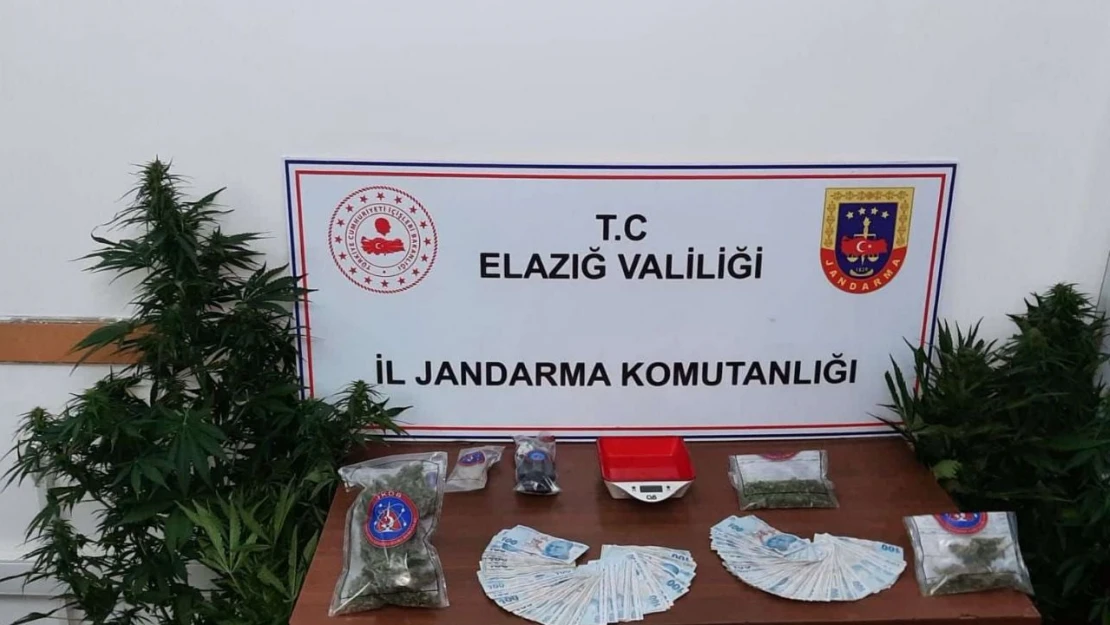 Jandarma tarafından Ele Geçirildi…