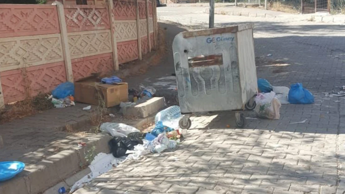 Kovancılara Yakışmayan Görüntüler