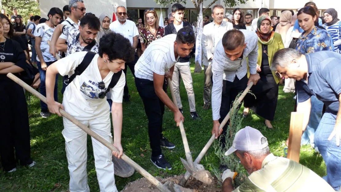 Tıp Fakültesi Öğrencileri Fidan Dikti