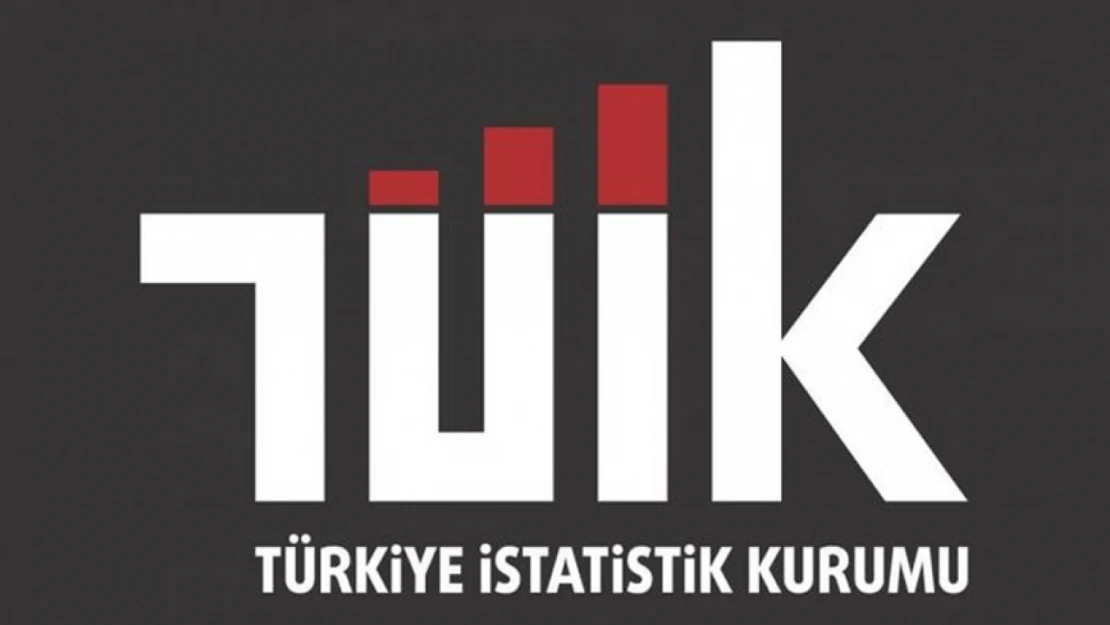 TÜİK Açıkladı: Büyük Düşüş