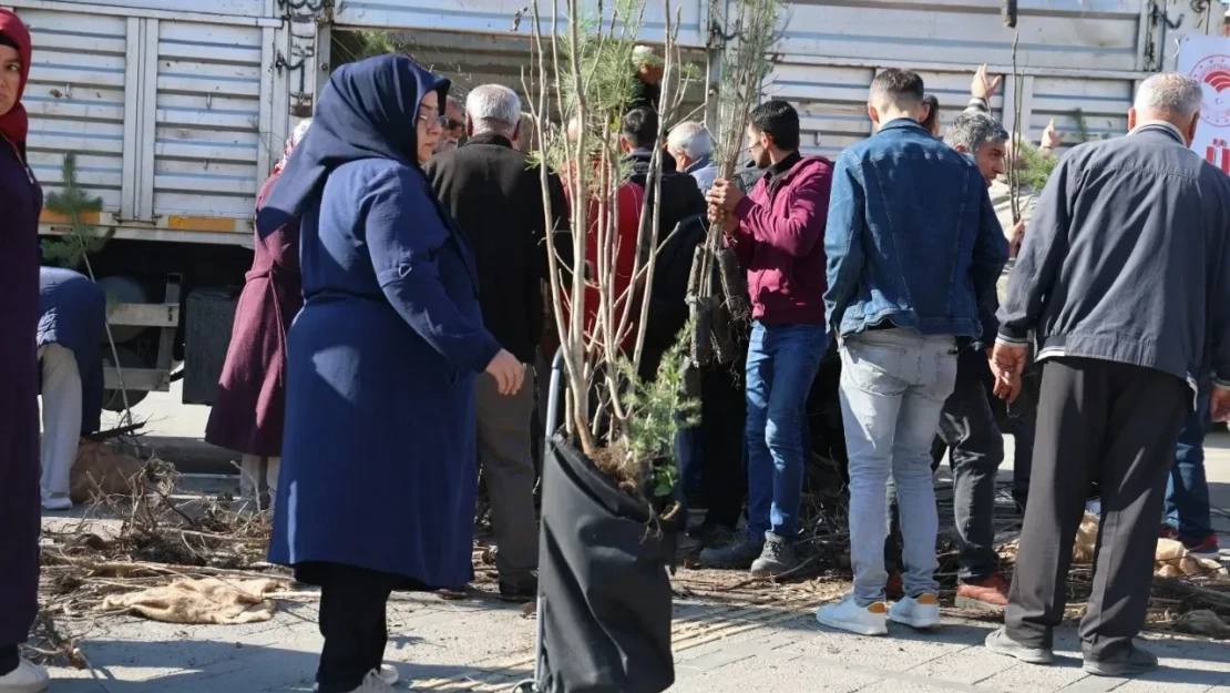 Ücretsiz Dağıtılan Fidanlar İlgi Gördü!