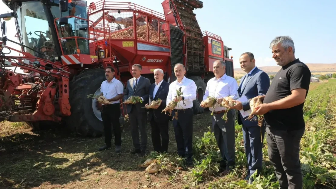 Vali Hatipoğlu'ndan Pancar Hasadı!