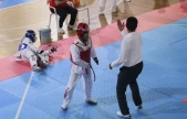 Elazığ'da Taekwondo Heyecanı!