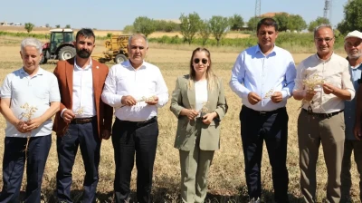 Elazığ'da Nohut Üretimi Güçleniyor!