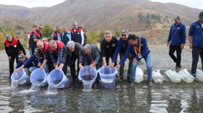 Hazar Gölü'nde Binlerce Balık Doğaya Salındı