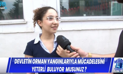 DEVLETİN ORMAN YANGINLARIYLA MÜCADELESİNİ YETERLİ BULUYOR MUSUNUZ ?