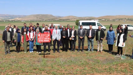 Aile Yılı Dolayısıyla, Aile Yılı Hatıra Ormanı Oluşturuldu