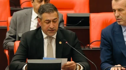 Işıkver, Çakmak'ı TBMM'de Andı