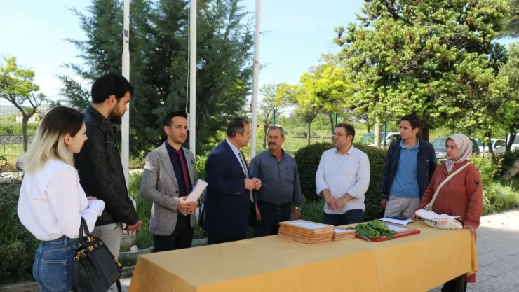 5 üreticiye İpekböceği Larvası Dağıtıldı