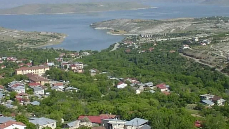 Ağın'da Şüpheli Martı Ölümleri