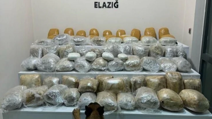 Alex'ten  Kaçamadılar