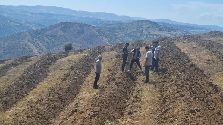 Arpacı: Türkiye Yüzyılına Nefes Olacak!