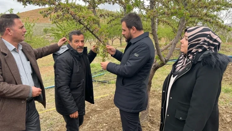 Başkan Bal'dan Örnek Davranış: Çiftçinin Yanında Olmaya Devam Ediyor!