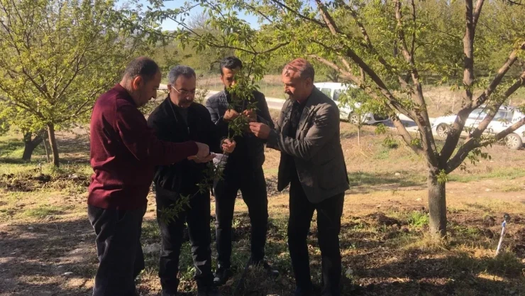 Baskil Afet Bölgesi İlan Edilsin!