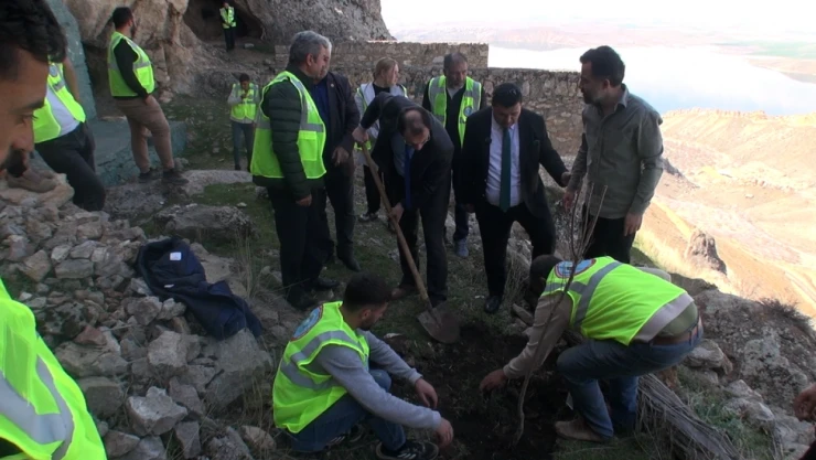 Baskil'de Sancaktar Abdulvahap Gazi Türbesi'nde Ağaç Dikimi Etkinliği Gerçekleştirildi