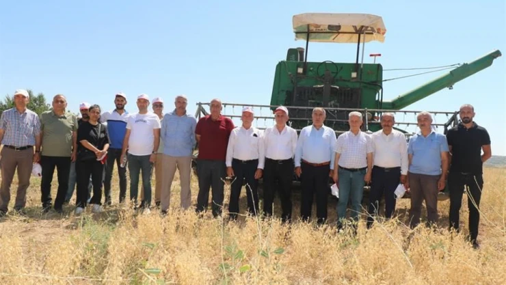 Durupınar Köyü'nde Nohut Hasadı Yapıldı