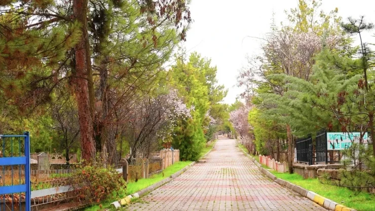 Elazığ Belediyesi'nden Mezarlık Alanlarında Bayram Hazırlığı