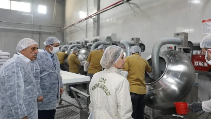 Elazığ'da Didik Didik İnceleme