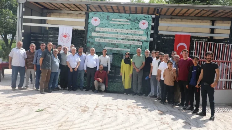 Elazığ'da Üreticiye 101 Bin Fide Dağıtıldı
