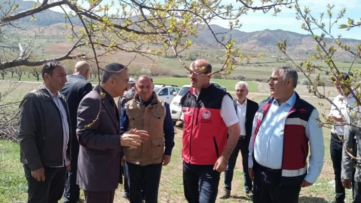 Elazığ'da Zirai Don Vuran Ağaçlar İncelendi