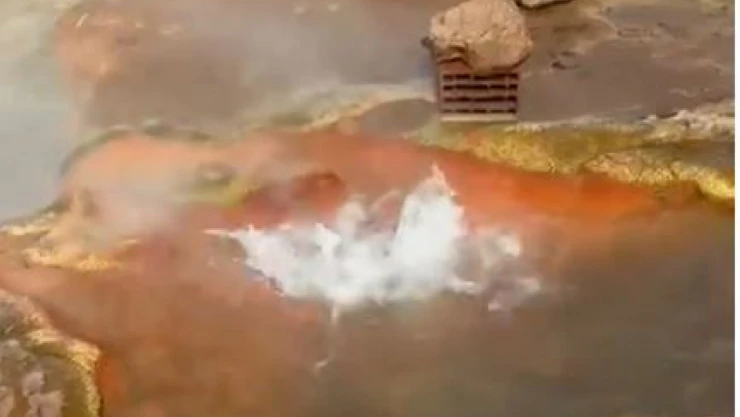 Elazığ Karakoçan İlçesi'nde Doğa Katliamı