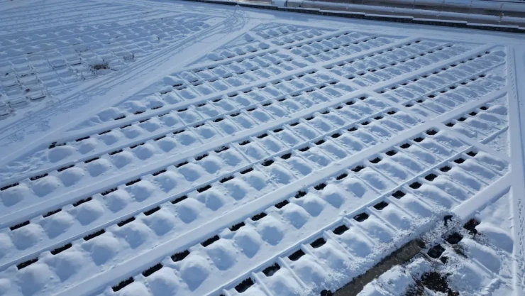 Erzurum'da Binlerce Mezar Kazıldı