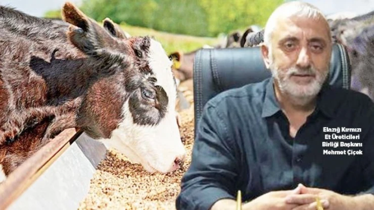 Hayvan Varlığının Azalması Büyük Bir Tehlike