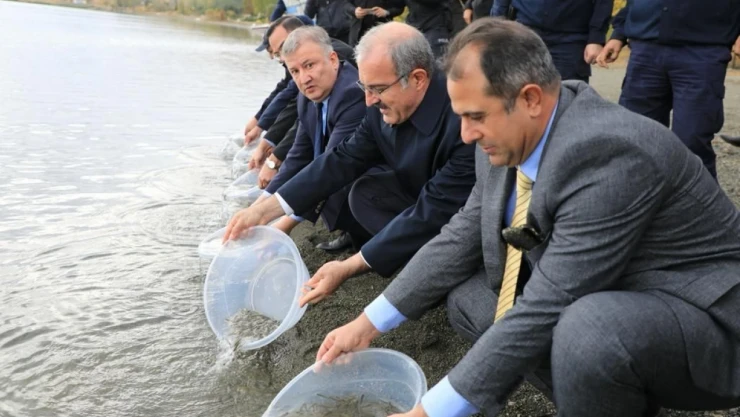 Hazar Gölüne Balık Bırakıldı