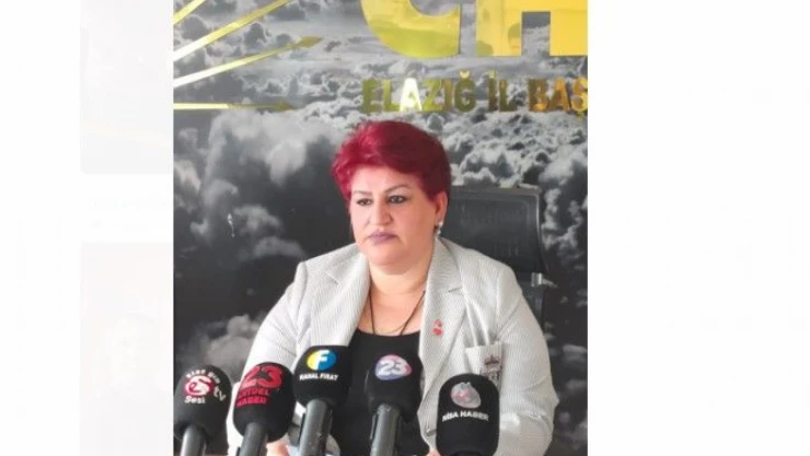 Hülya Ülkü Gür Aday Adaylığını Açıkladı