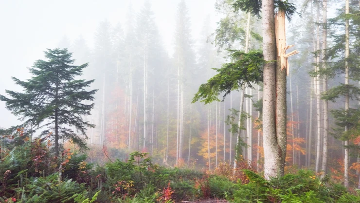 'İhmal' Ve 'Dikkatsizlik' Sebep Oldu!