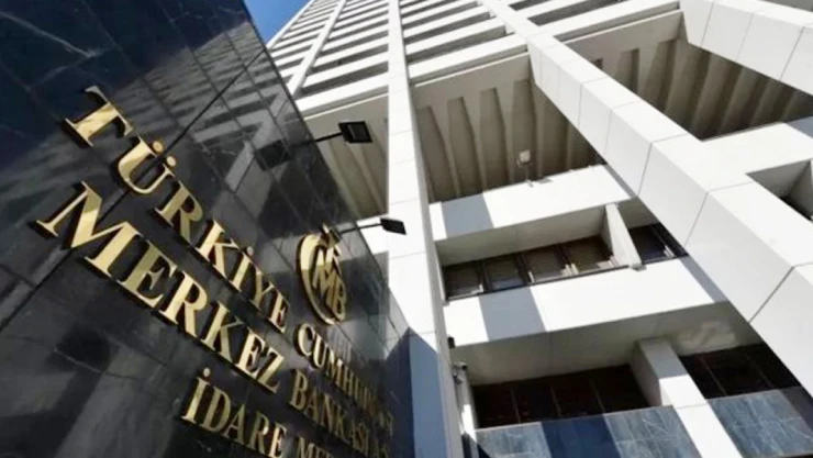 Merkez Bankası Başkanı Hafize Gaye Erkan Görevden Affını İstedi