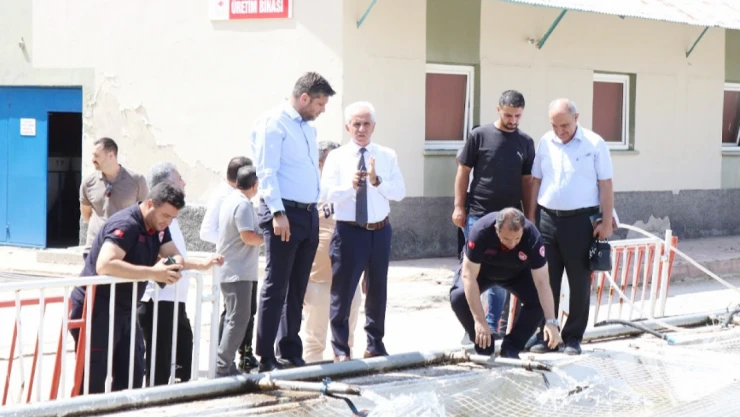 Nazırlı: Üretimi Artırmayı Hedefliyoruz!